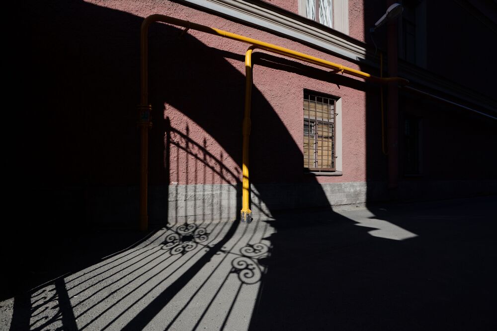 Жизнь цвета (3)