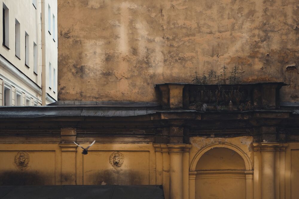 Жизнь цвета (5)