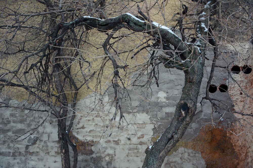 Жизнь цвета (9)