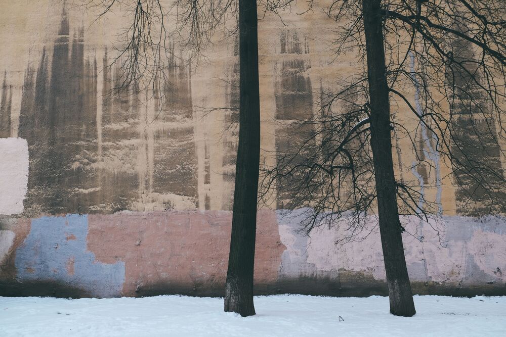 Жизнь цвета (10)