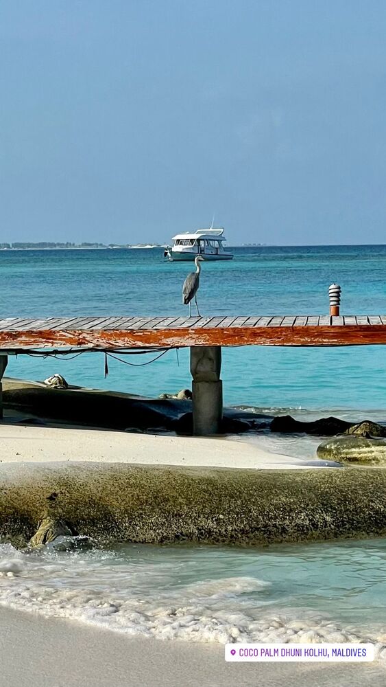 Maldives … (3)