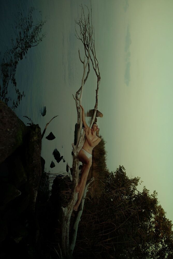 Photo #7343473 (4)