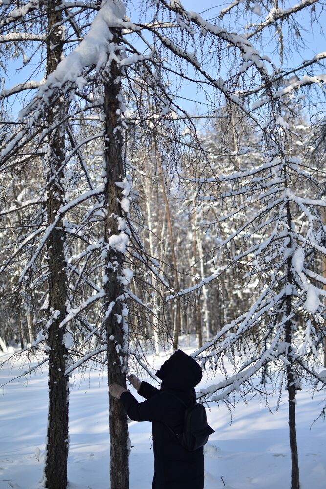 Снег (3)