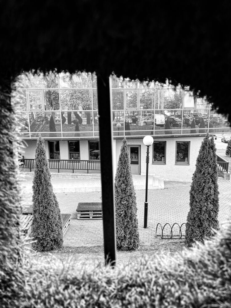 life as it is (7)