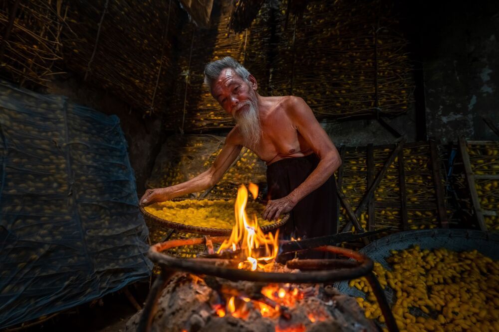Silkworm farming for silk in Thai Binh, Vietnam (2)