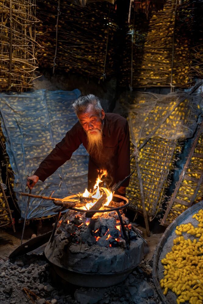 Silkworm farming for silk in Thai Binh, Vietnam (3)