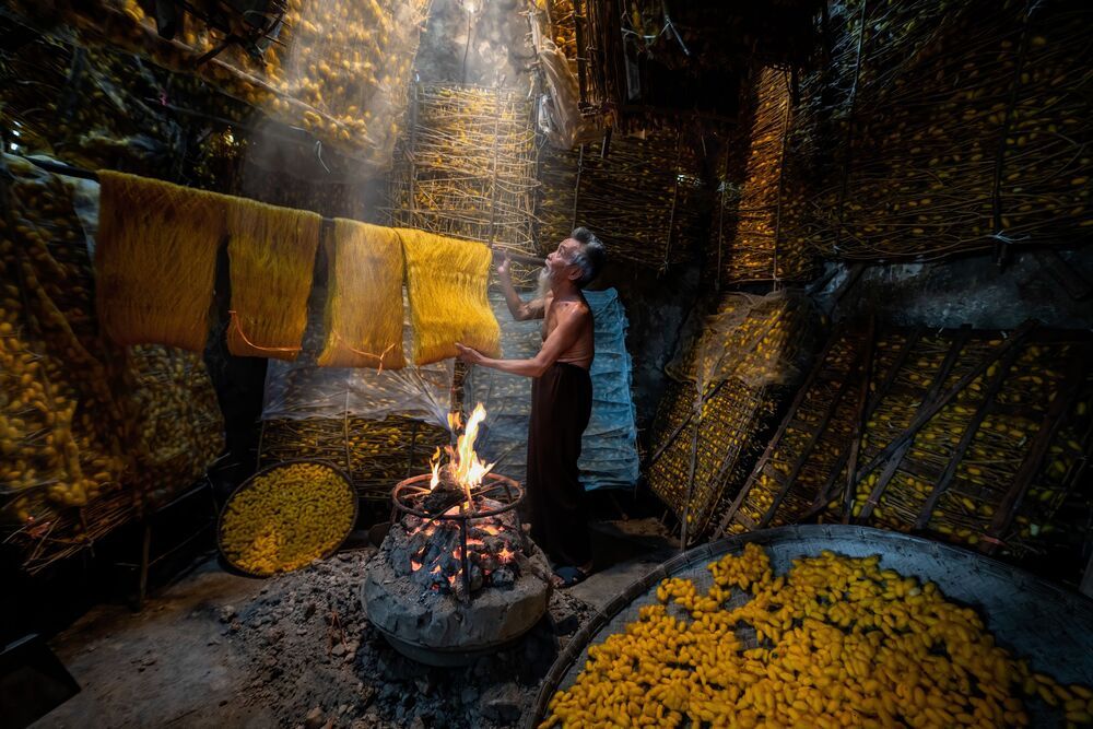 Silkworm farming for silk in Thai Binh, Vietnam (5)