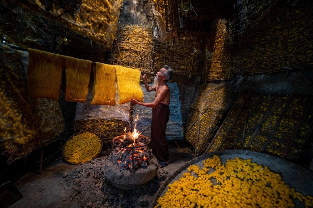 Silkworm farming for silk in Thai Binh, Vietnam (6)