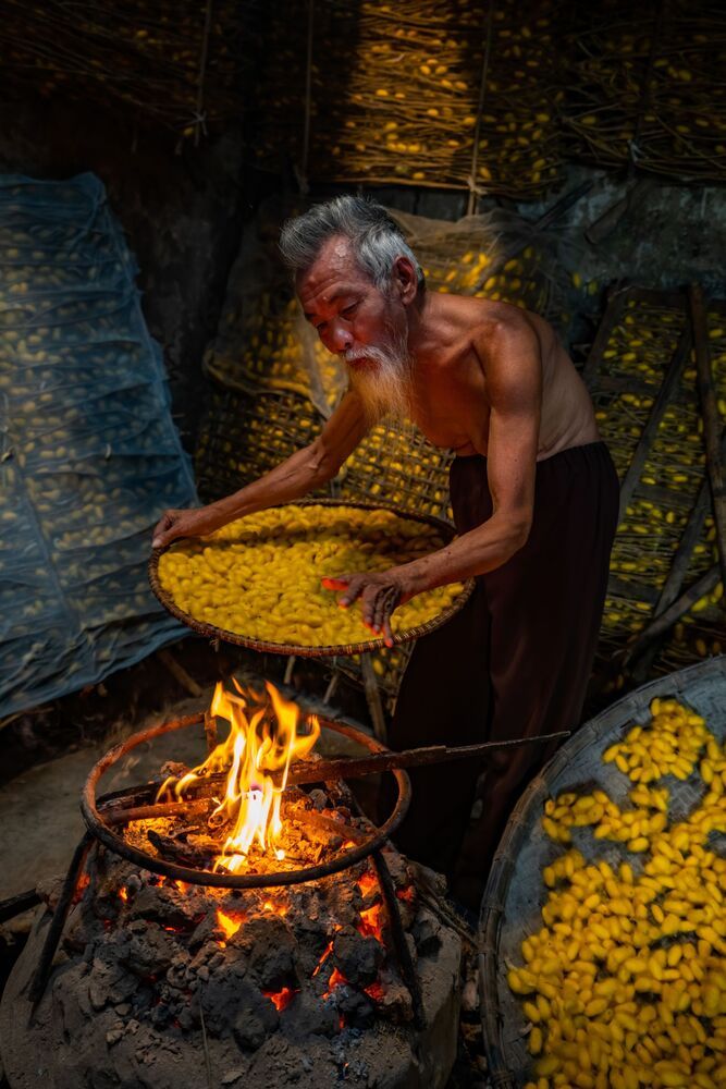 Silkworm farming for silk in Thai Binh, Vietnam (7)