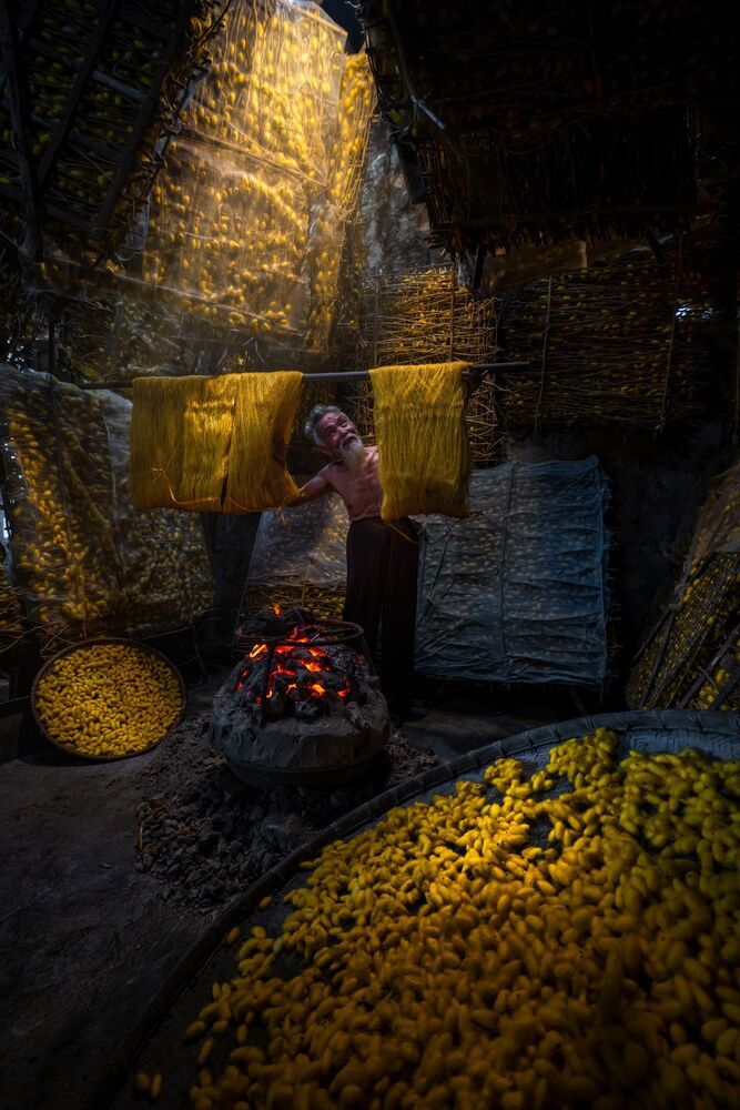 Silkworm farming for silk in Thai Binh, Vietnam (8)