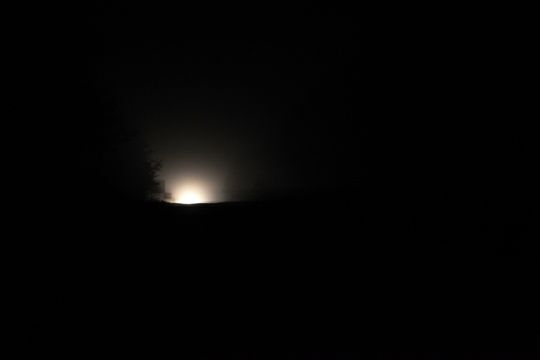 Night movements (8)