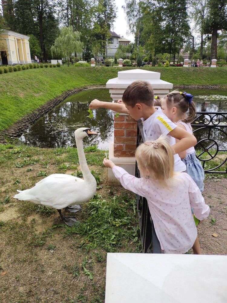 г. Рыбинск, Карякинский парк (2)