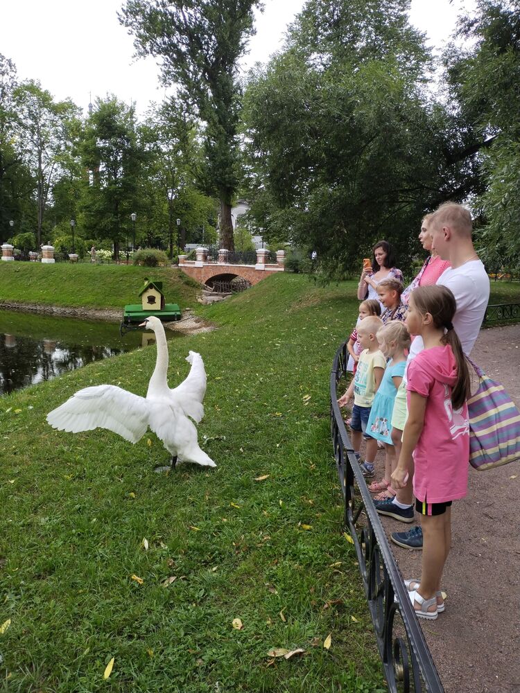 г. Рыбинск, Карякинский парк (5)