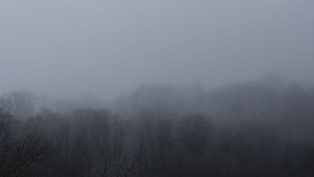 Earth lines and breath (9)