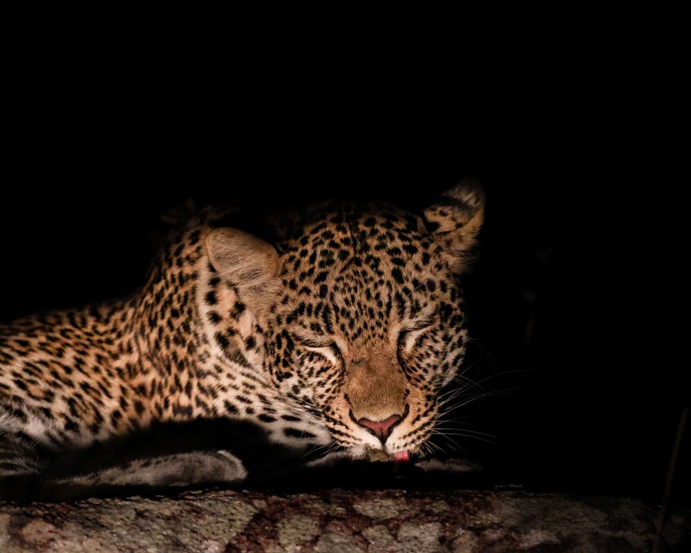 In the dark of night (3)