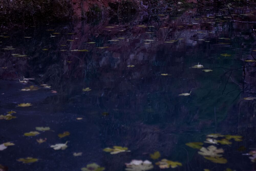 Small river in the city (2)