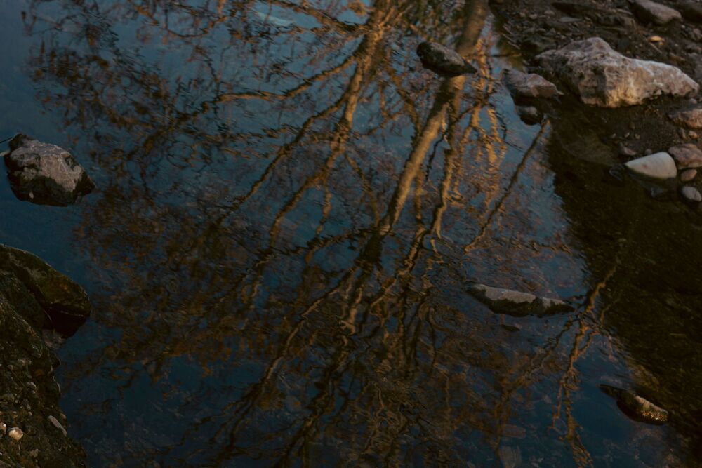 Small river in the city (5)