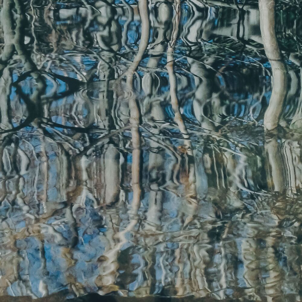 Small river in the city (6)