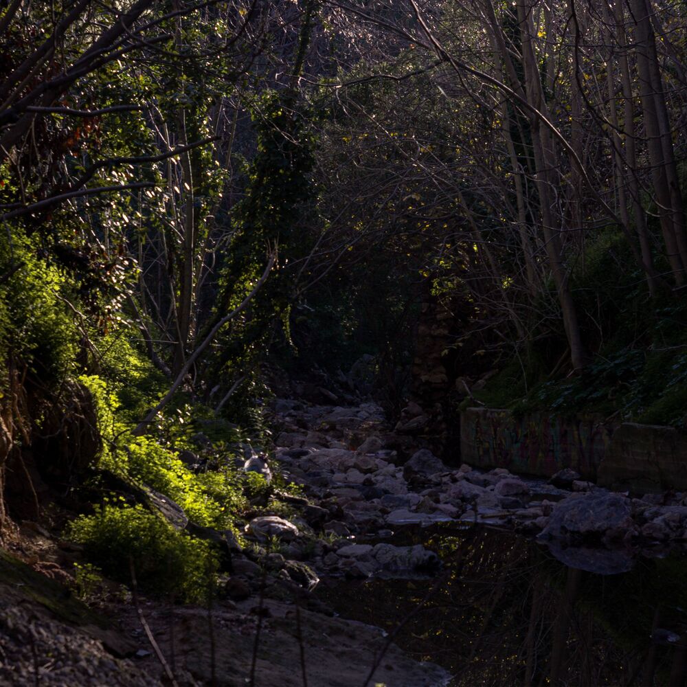 Small river in the city (7)