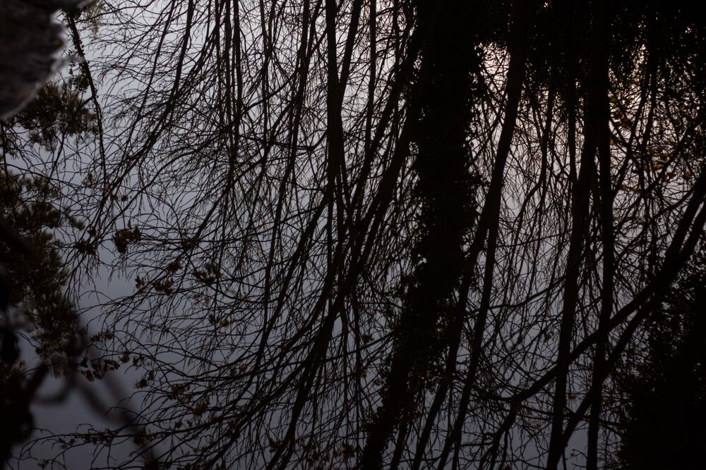 Small river in the city (8)