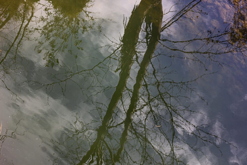 Small river in the city (9)