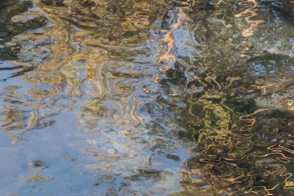Small river in the city (11)