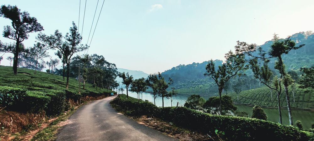 Munnar (3)