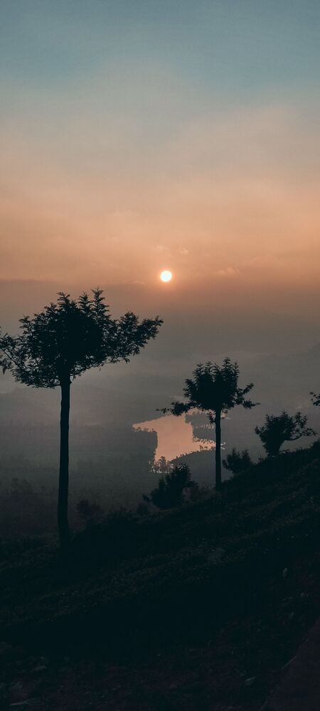 Munnar (5)