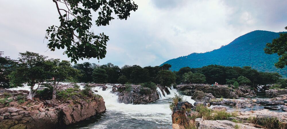 Munnar (6)