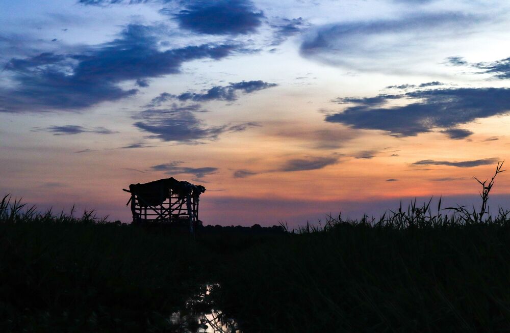 Mesmerizing Sky Views during Blue Hour (6)