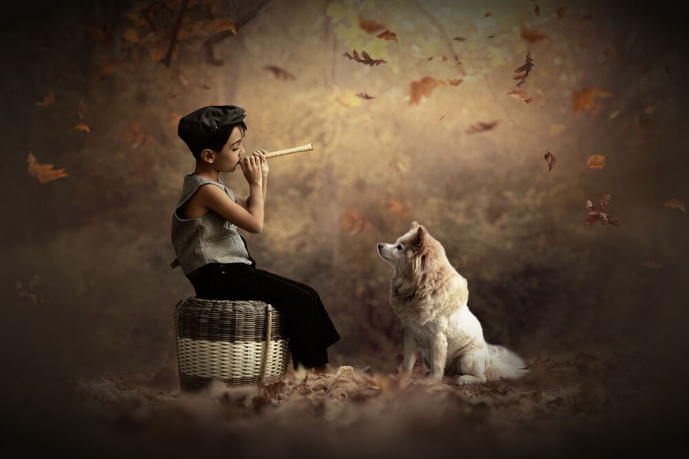 Story Teller Kids (2)