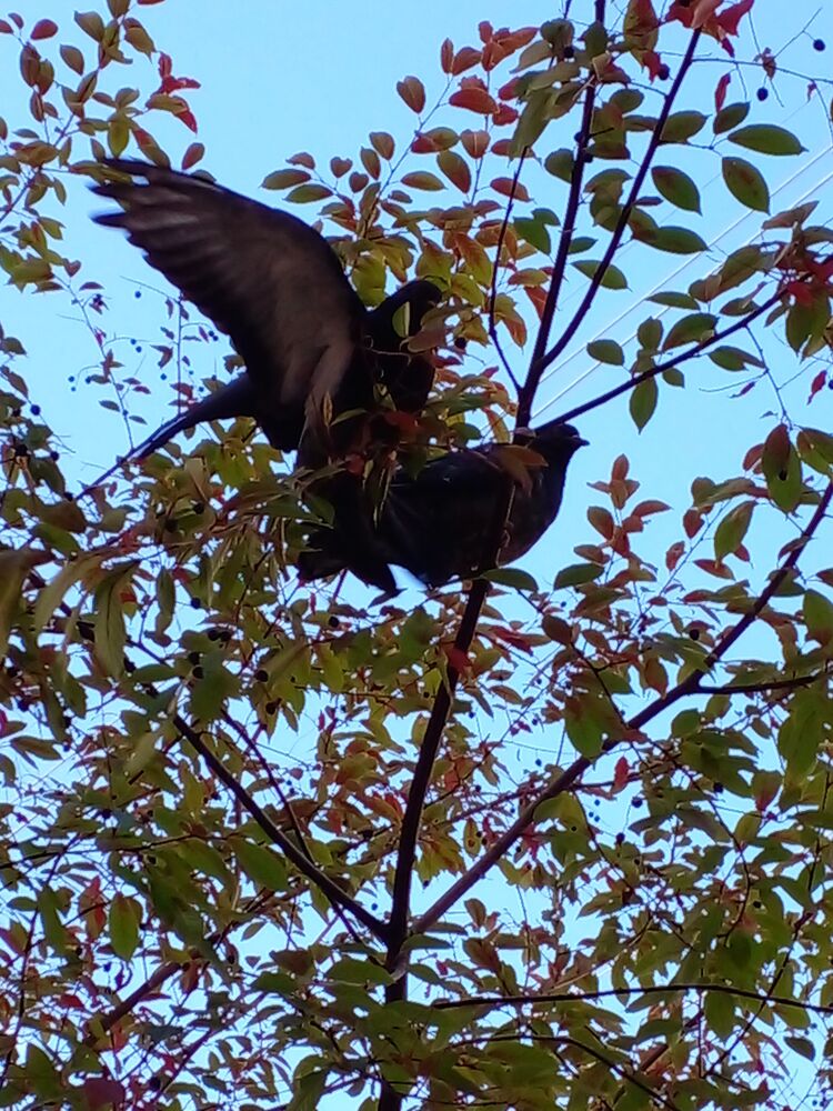 Байкальский отдых (3)