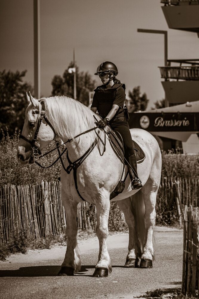 Photo #8091804 (10)