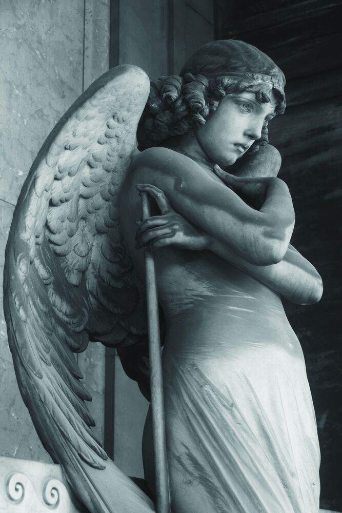 Silent world (2)