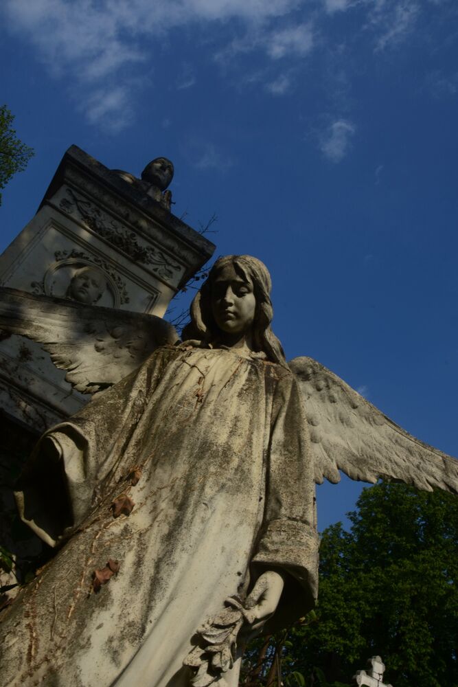 Silent world (4)