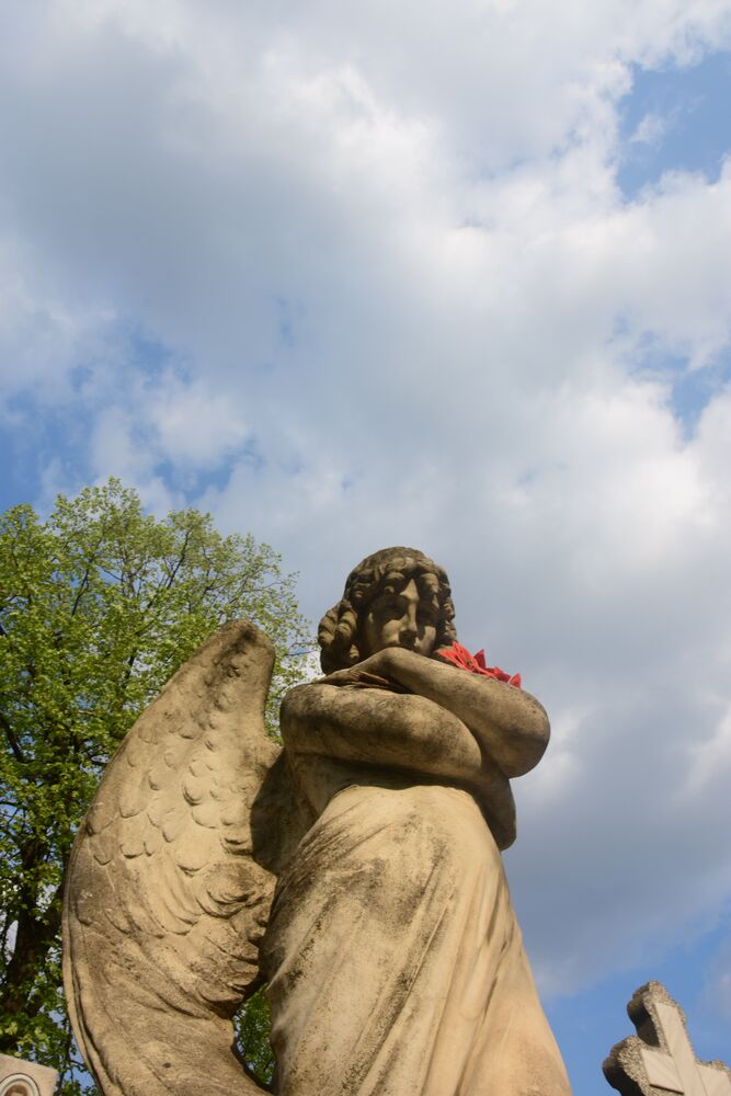 Silent world (5)