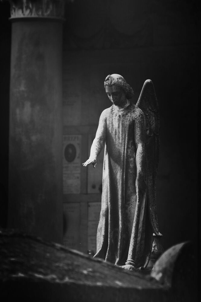 Silent world (6)