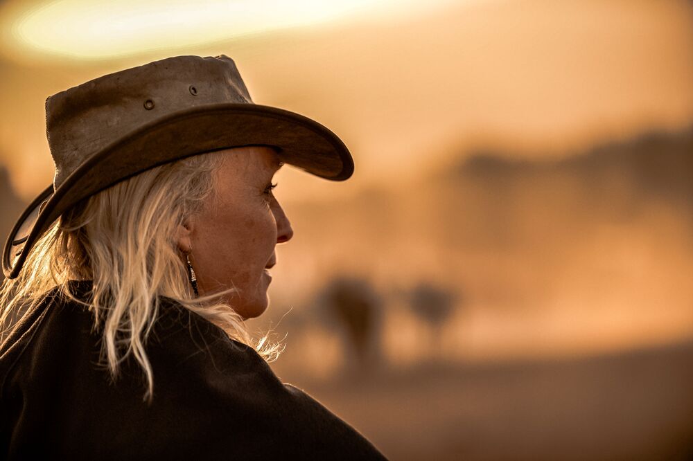 Horses in the sunrise (8)