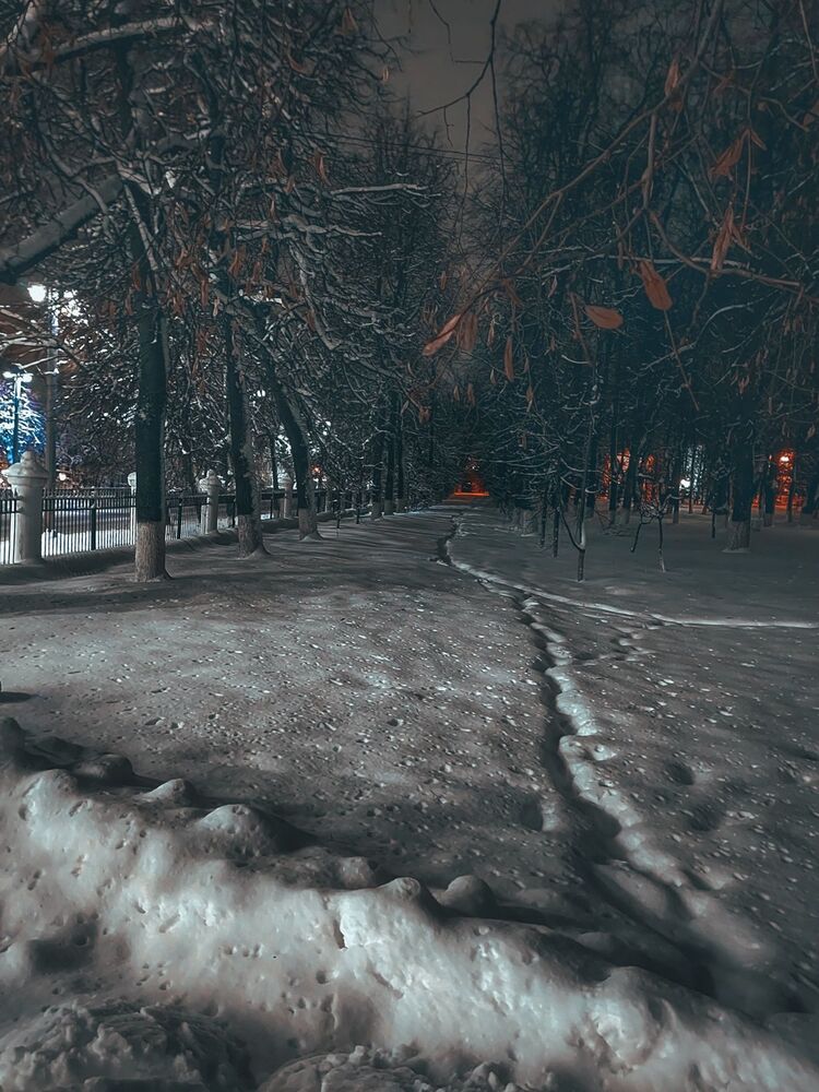 Зимняя сказка (3)