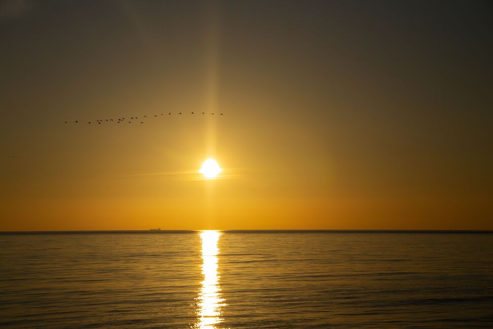 Dawn (2)