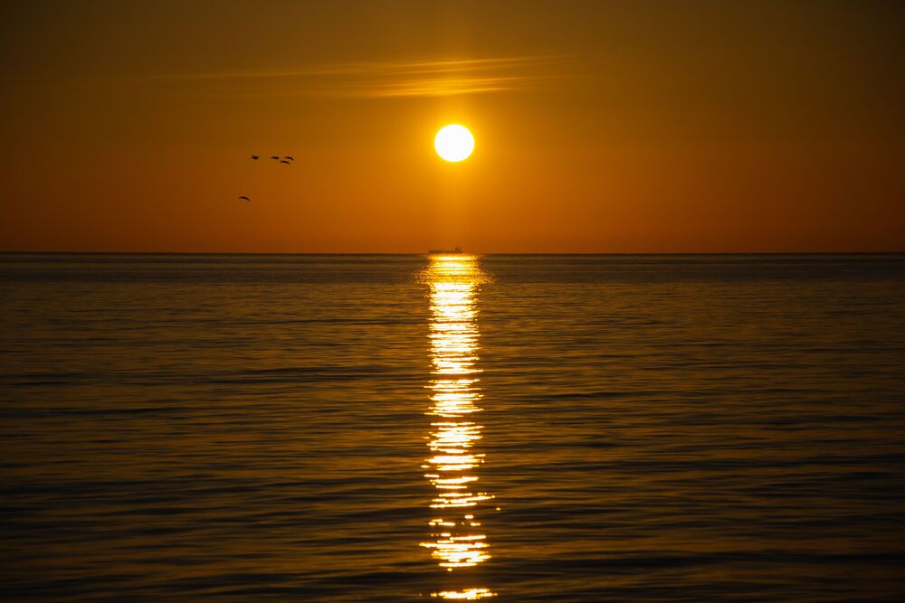 Dawn (8)