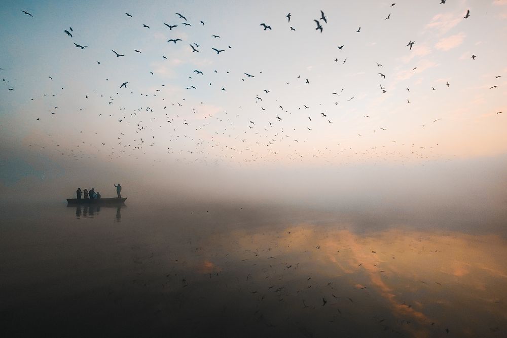 Morning Surrealism (6)