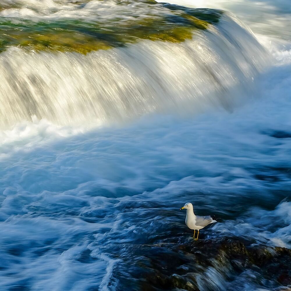 Waterfalls (8)