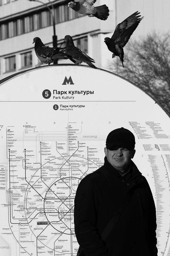 Сизые горожане (3)