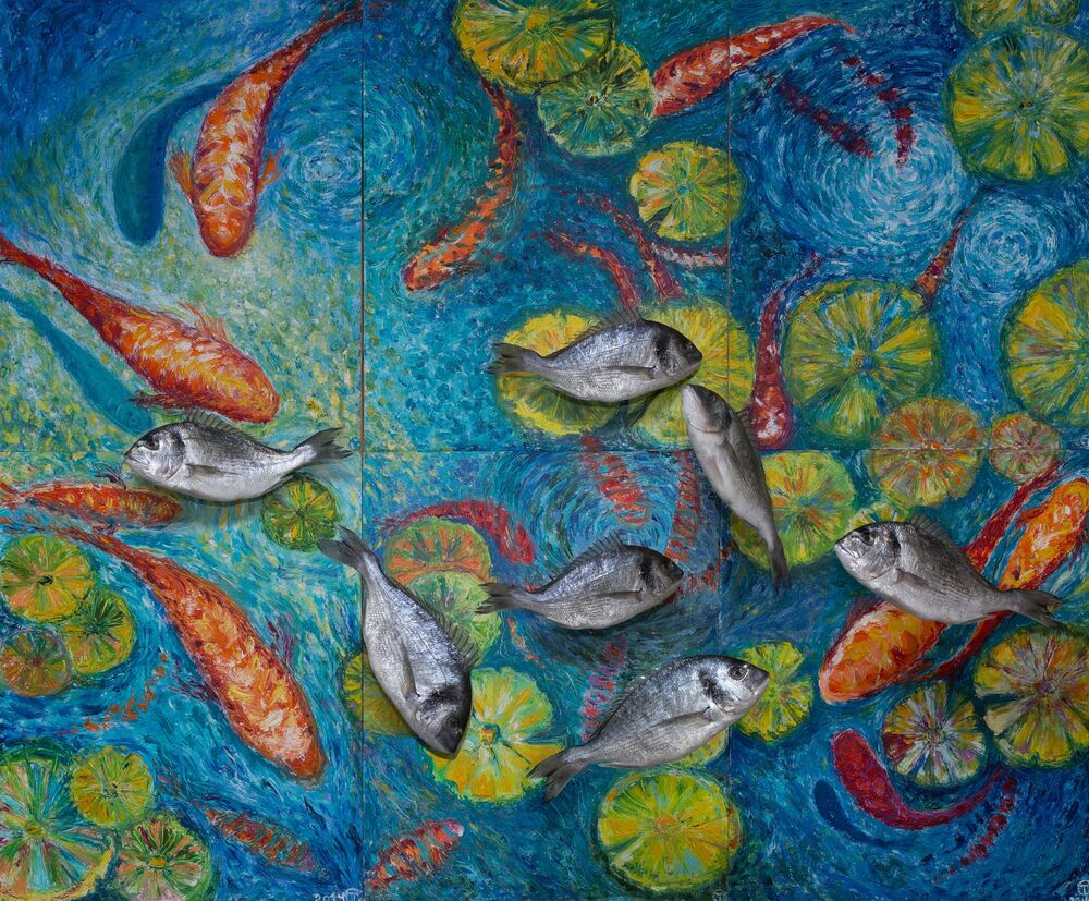 Рыбы и коты (6)