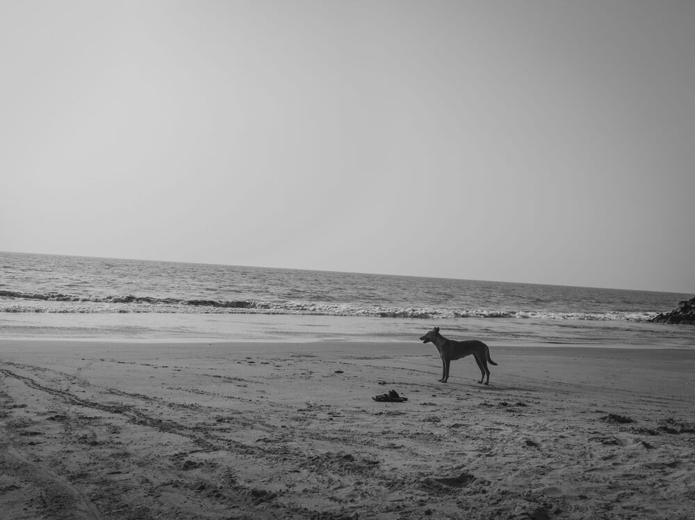 Loneliness or solitude : An abstract (4)