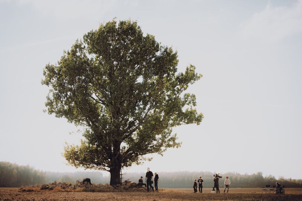 Tree of Strength (2)