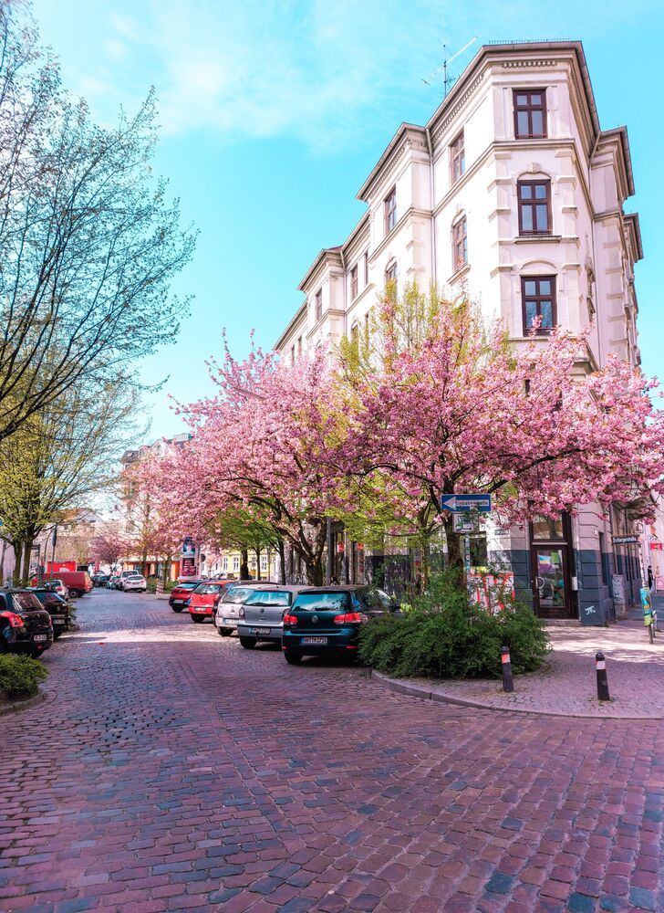 Daily life in Hamburg (8)