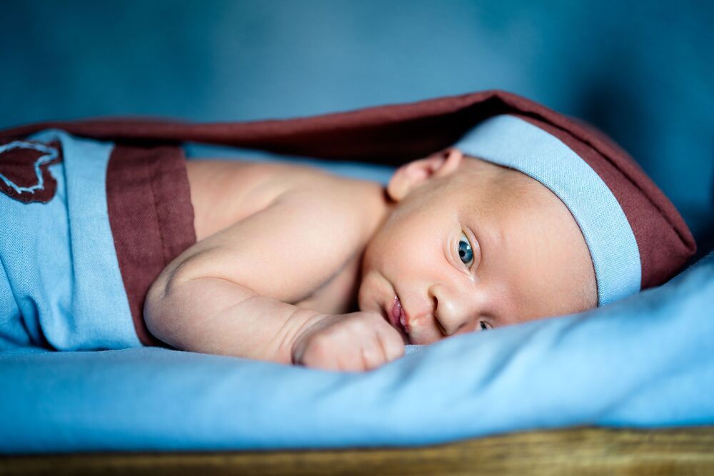 Photo #8848216 (4)