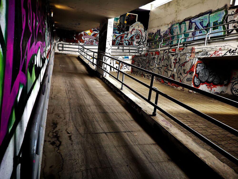 Photo #8849072 (5)